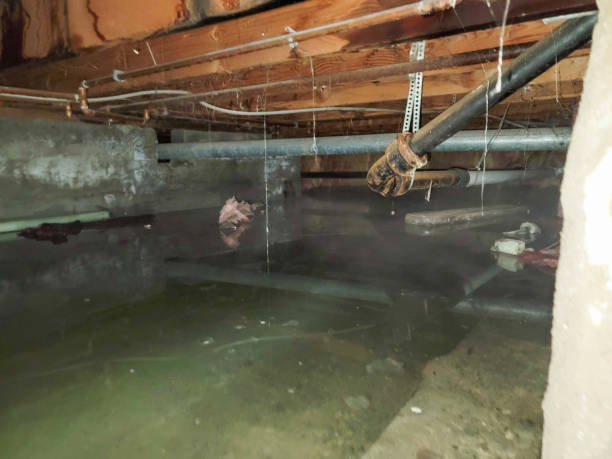 Trusted MS Water damage restoration Experts