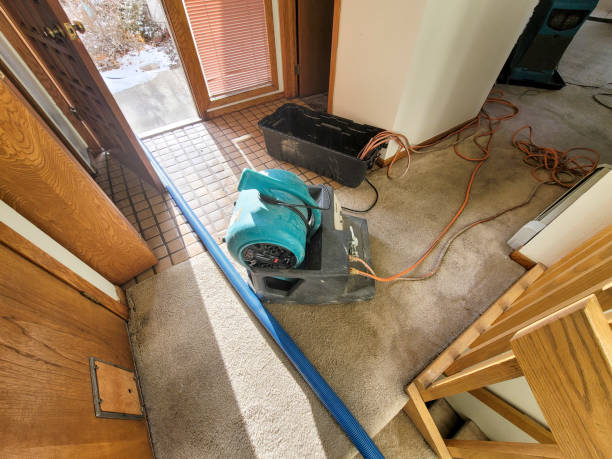 Best 24/7 water damage repair  in Tunica Resorts, MS