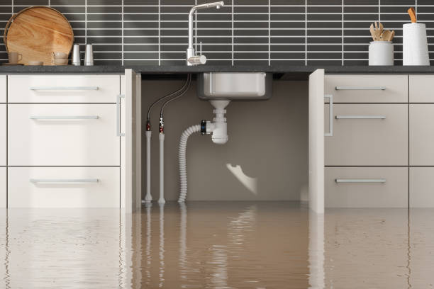 Best Flood damage cleanup  in Tunica Resorts, MS